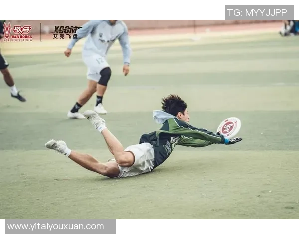 武汉城市马拉松赛事点评：飞盘队展现团队力量与拼搏精神